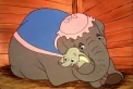 תמונה מתוך הסרט "דמבו הפיל המעופף"