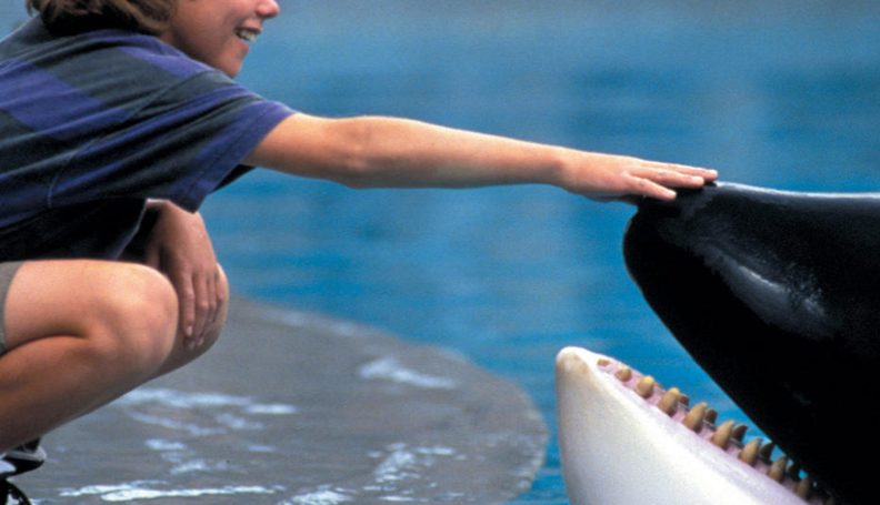 תמונה מתוך הסרט "לשחרר את ווילי"