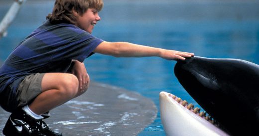 חיות כוכבות קולנוע | מפגש מהסרטים | אלון גור אריה + הקרנה ״לשחרר את ווילי״ – בתרגום לעברית (גילי 10+)