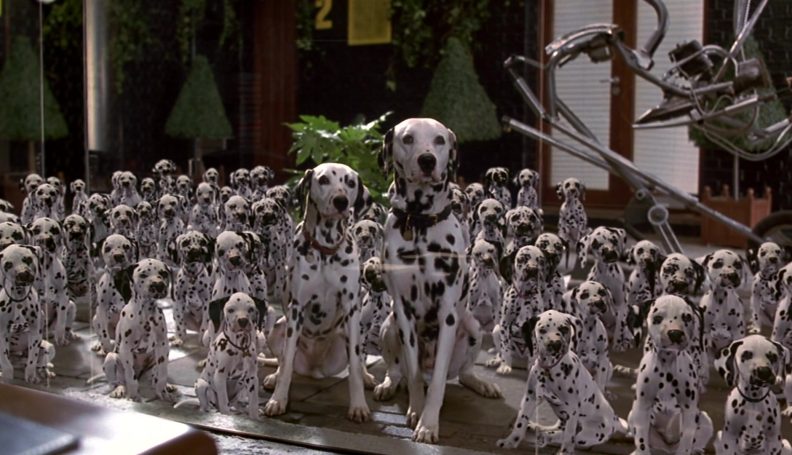 תמונה מתוך הסרט "מאה כלבים וגנבים"