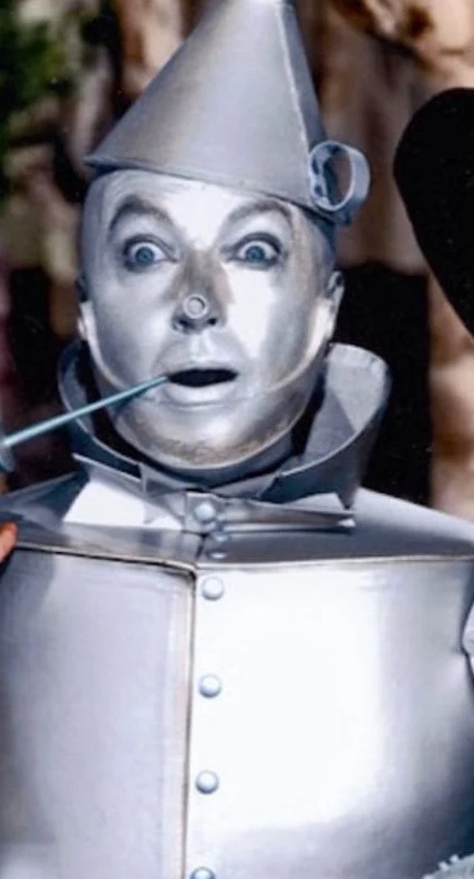 Wizard-of-Oz-1140x855_ראשית
