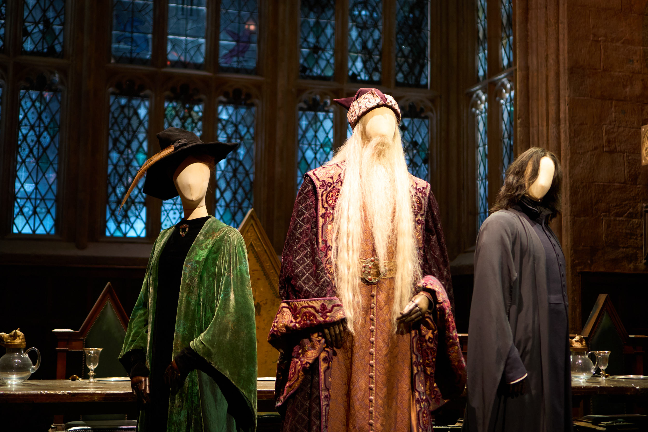 Harry Potter – Tal Solomon Vardy – 3