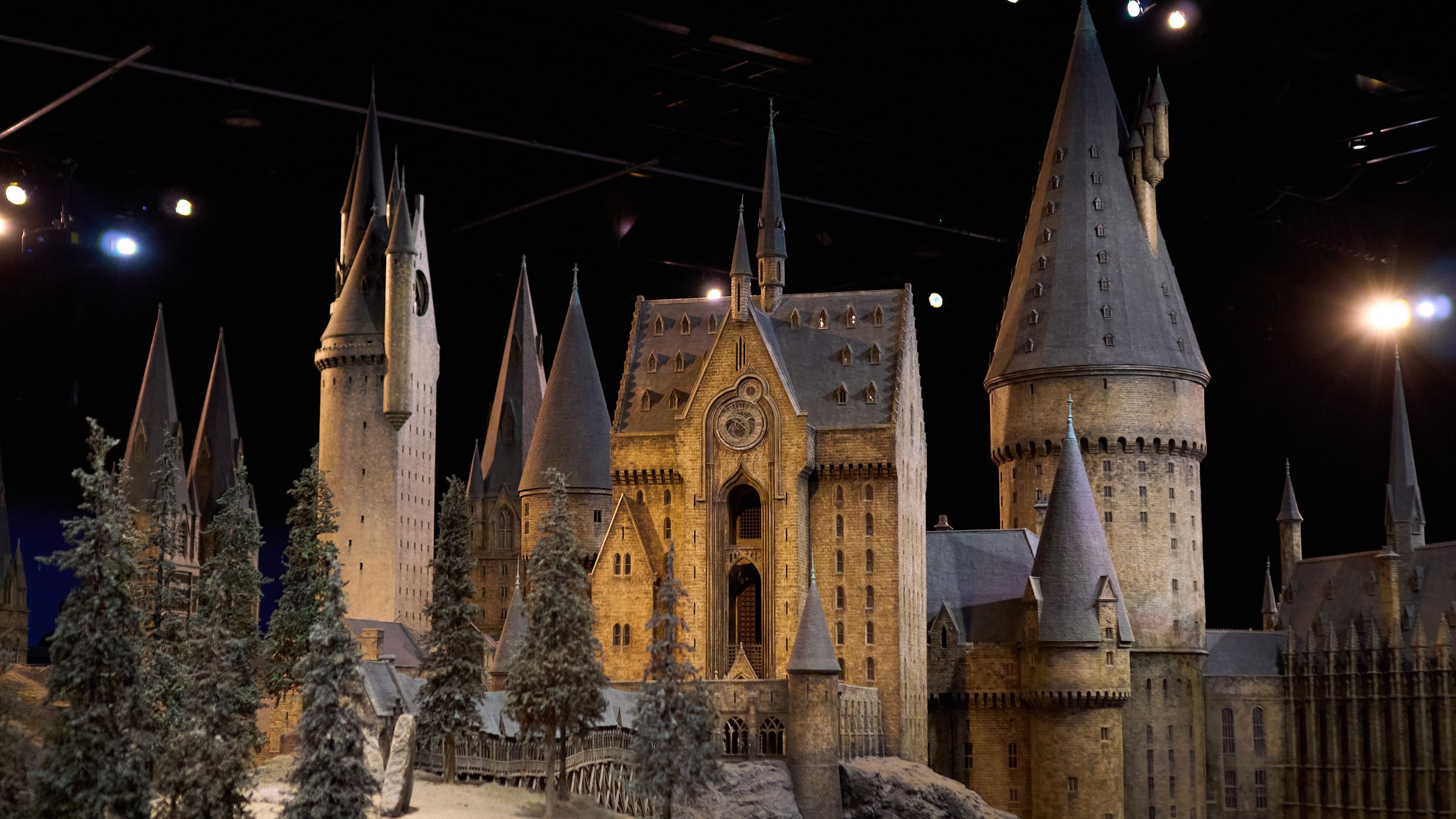 Harry Potter – Tal Solomon Vardy – ראשי
